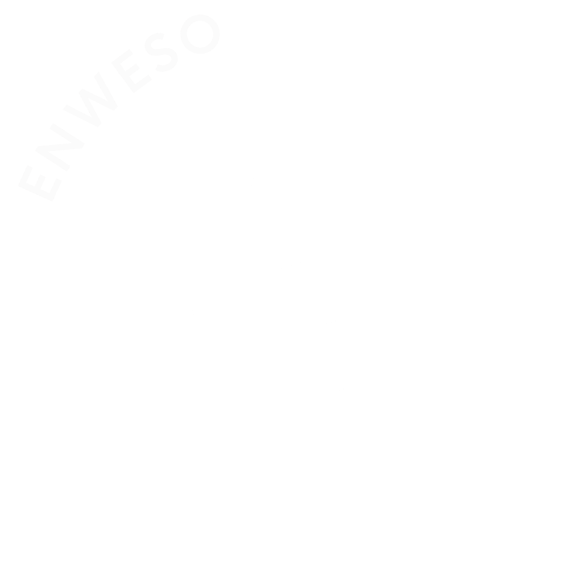 ENWESO_webdesign_basel